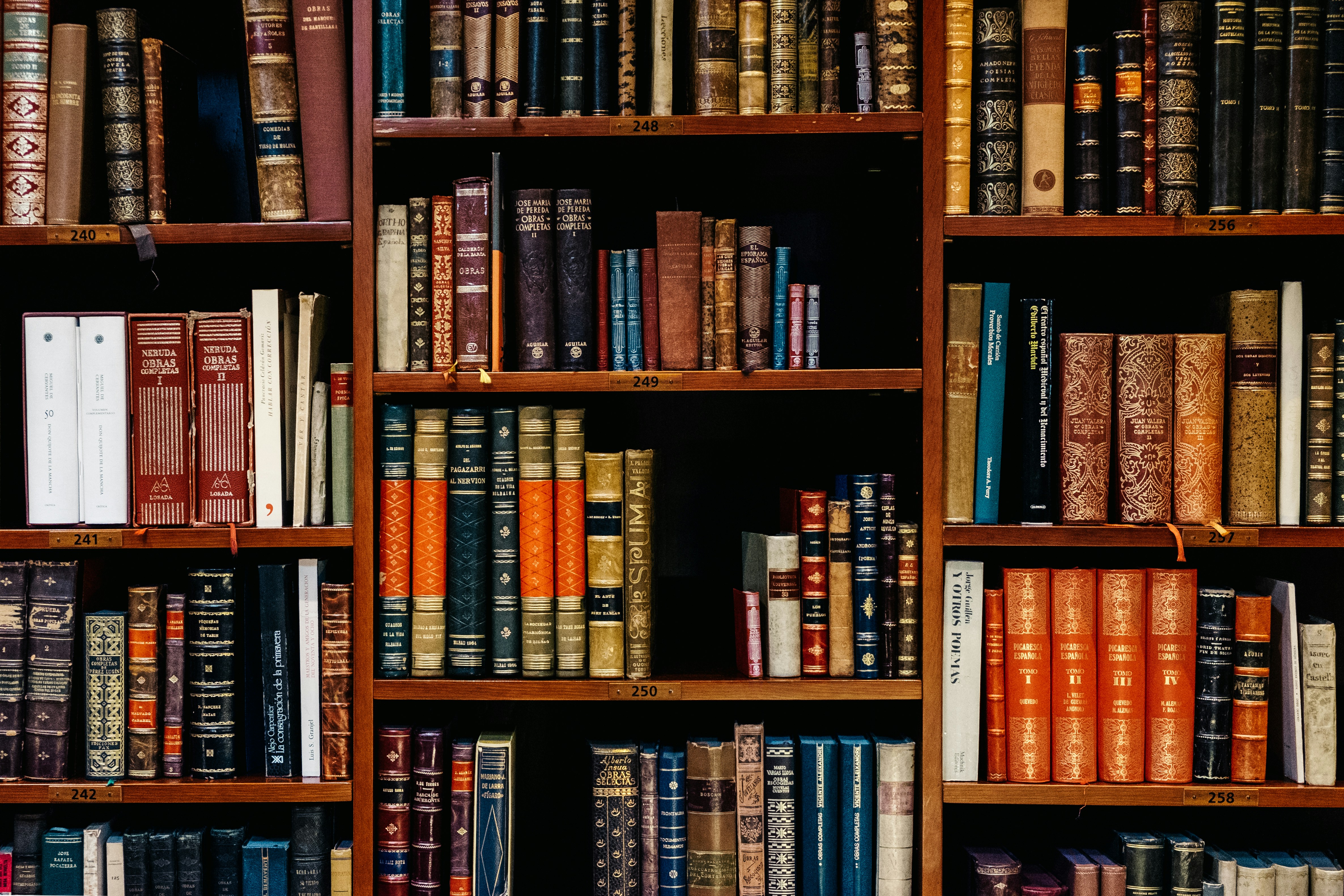biblioteca de libros