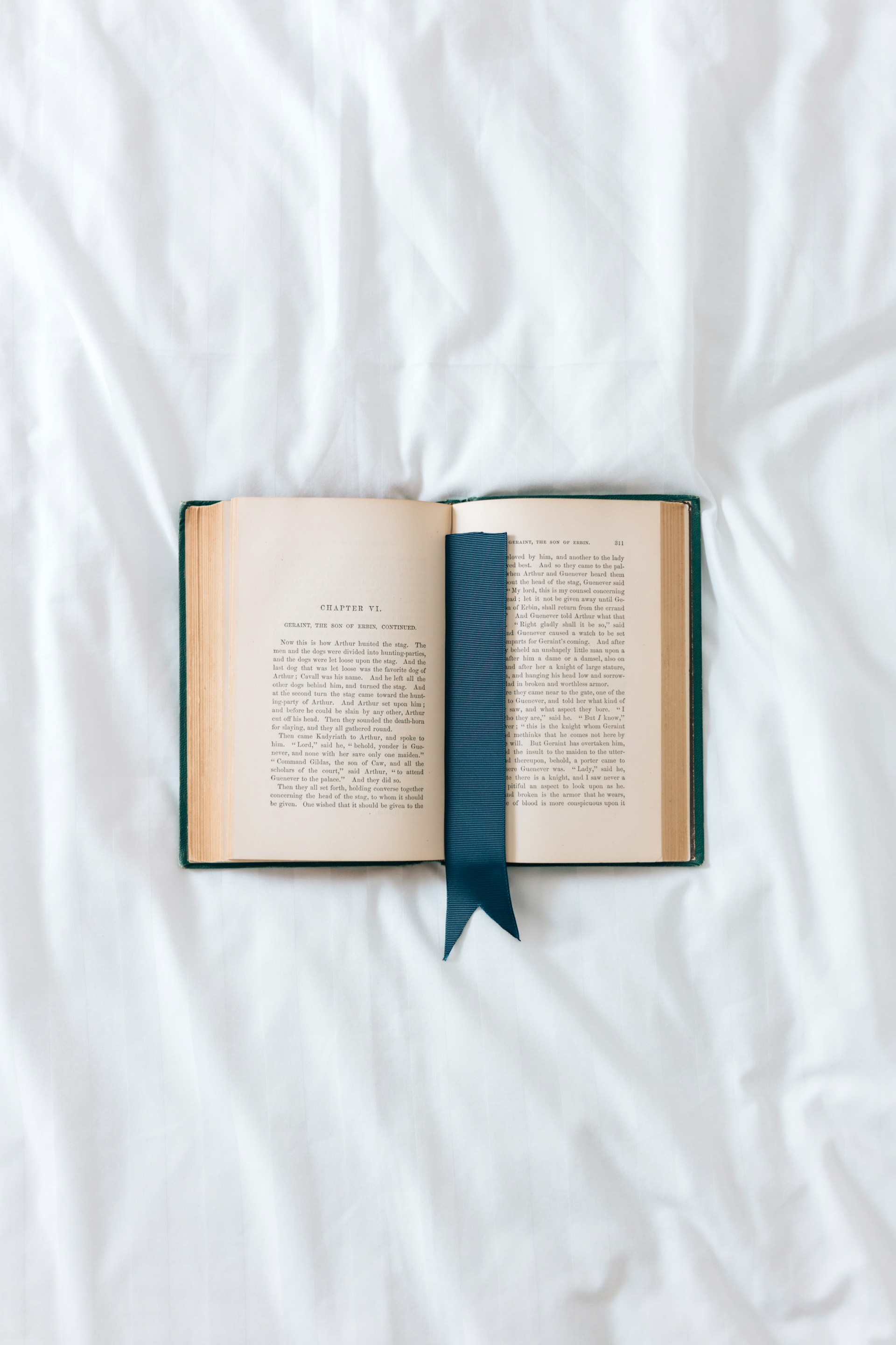 Libro sobre una sabana