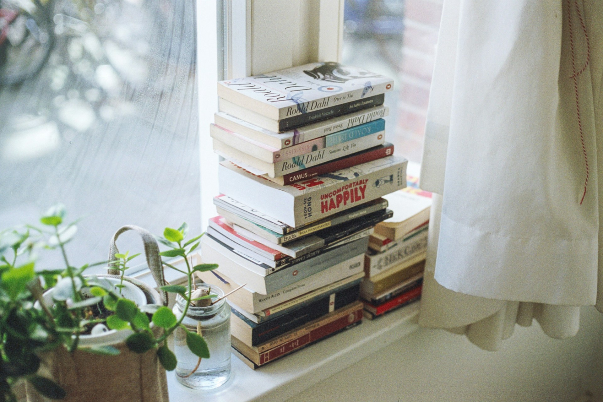 libron en la ventana